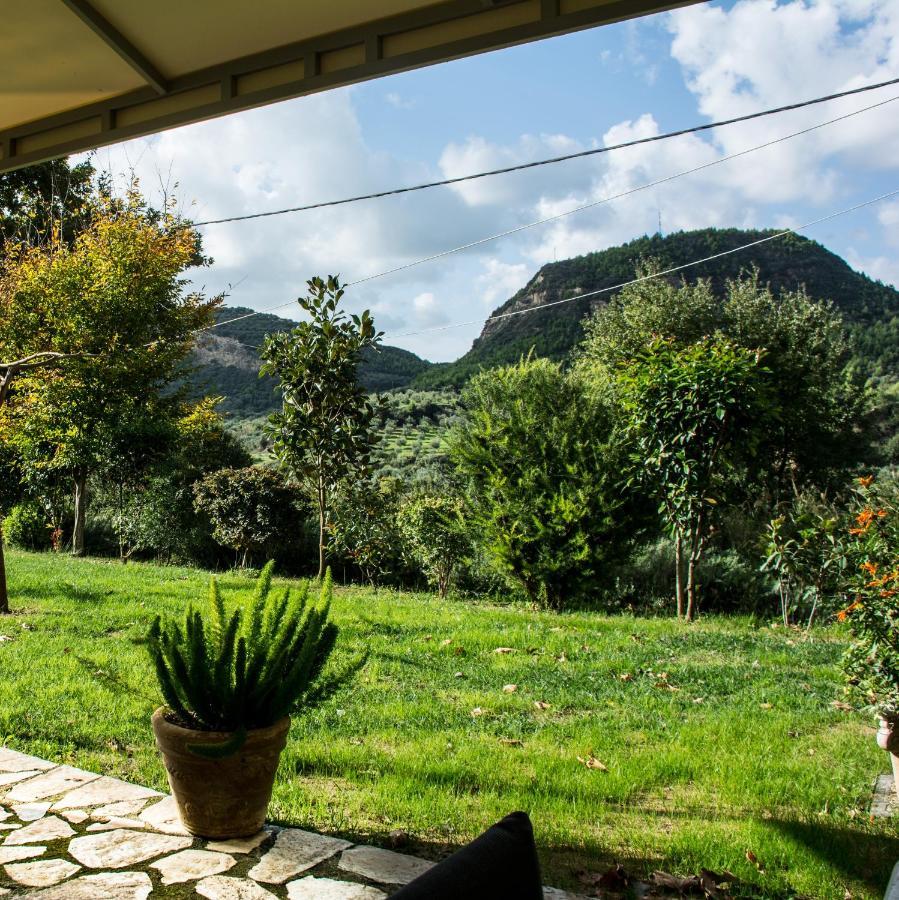 Estia Guest House Ancient Olympia Exterior photo